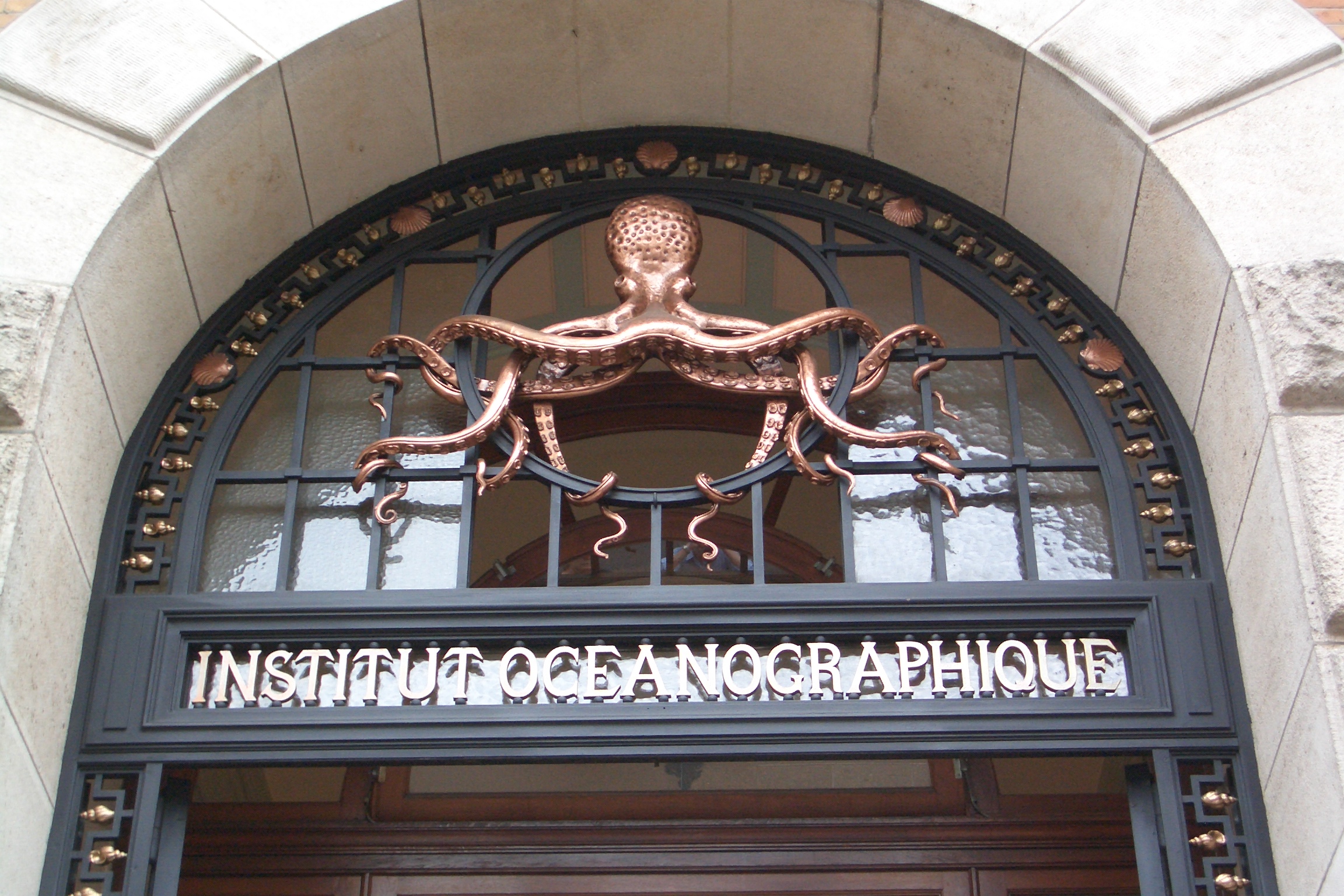 Paris octopus